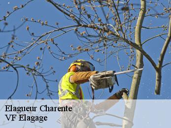 Elagueur 16 Charente VF Elagage