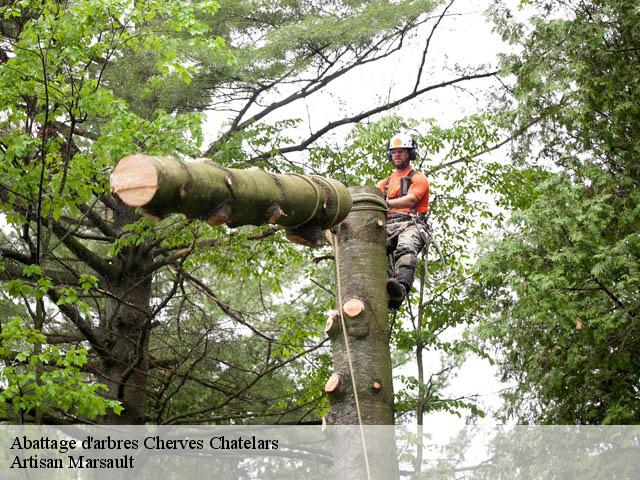 Abattage d'arbres  cherves-chatelars-16310 Artisan Marsault