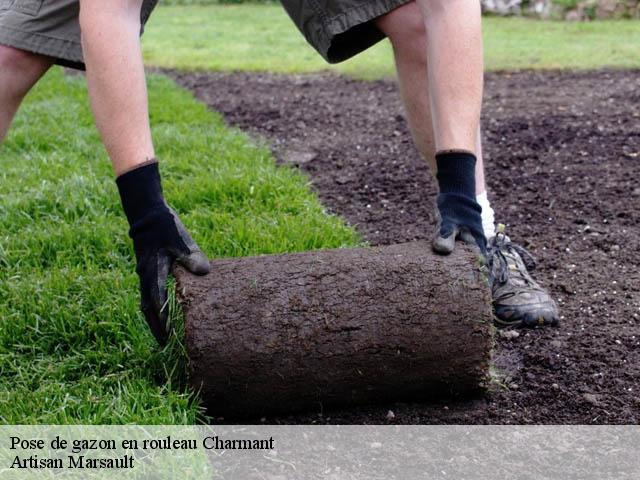 Pose de gazon en rouleau  charmant-16320 Artisan Marsault