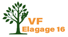 VF Elagage